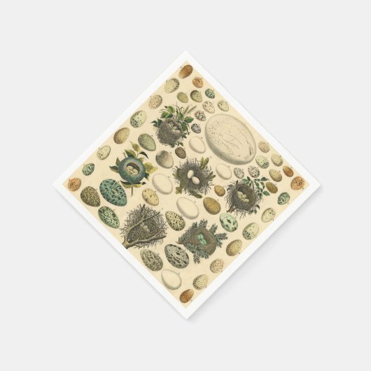 ヴィンテージ鳥の卵ネストアー絵画トの卵 スタンダードカクテルナプキン (角)