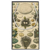 ヴィンテージ鳥の卵ネストアー絵画トの卵 スモールペーパーバッグ (裏面)