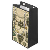 ヴィンテージ鳥の卵ネストアー絵画トの卵 スモールペーパーバッグ (正面アングル)