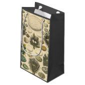 ヴィンテージ鳥の卵ネストアー絵画トの卵 スモールペーパーバッグ (裏面アングル)