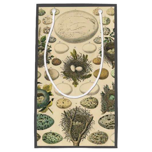 ヴィンテージ鳥の卵ネストアー絵画トの卵 スモールペーパーバッグ (正面)