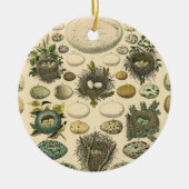 ヴィンテージ鳥の卵ネストアー絵画トの卵 セラミックオーナメント (正面)