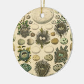 ヴィンテージ鳥の卵ネストアー絵画トの卵 セラミックオーナメント (左)