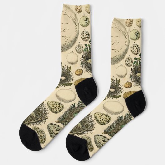 ヴィンテージ鳥の卵ネストアー絵画トの卵 ソックス (左)