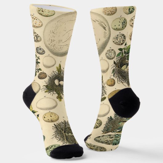 ヴィンテージ鳥の卵ネストアー絵画トの卵 ソックス (傾斜あり)