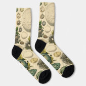 ヴィンテージ鳥の卵ネストアー絵画トの卵 ソックス (右)