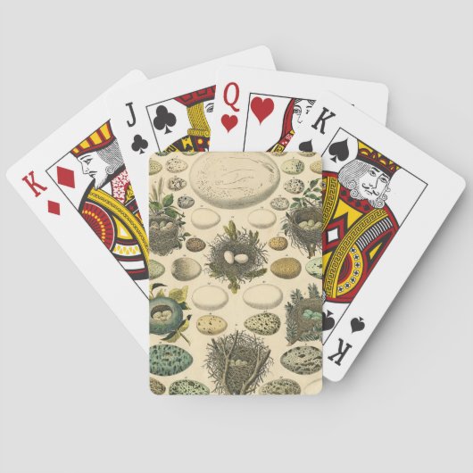 ヴィンテージ鳥の卵ネストアー絵画トの卵 トランプ (裏面)