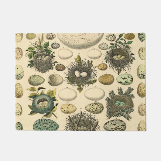 ヴィンテージ鳥の卵ネストアー絵画トの卵 ドアマット (正面)