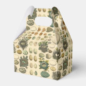 ヴィンテージ鳥の卵ネストアー絵画トの卵 フェイバーボックス (裏面サイド)