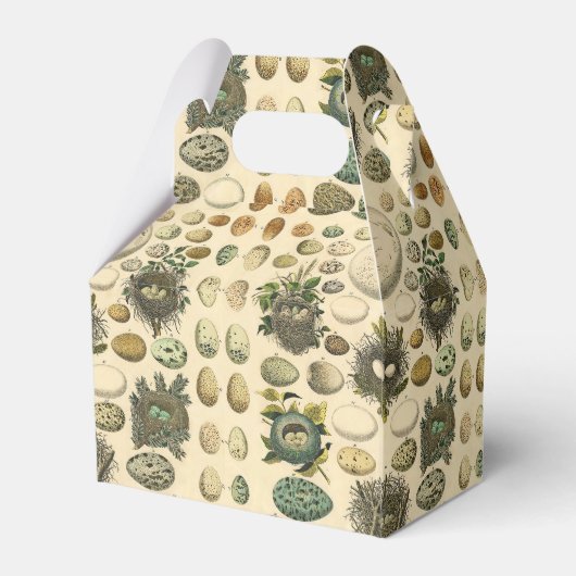 ヴィンテージ鳥の卵ネストアー絵画トの卵 フェイバーボックス (裏面サイド)