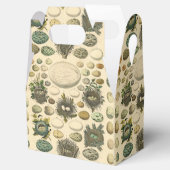 ヴィンテージ鳥の卵ネストアー絵画トの卵 フェイバーボックス (オープン)