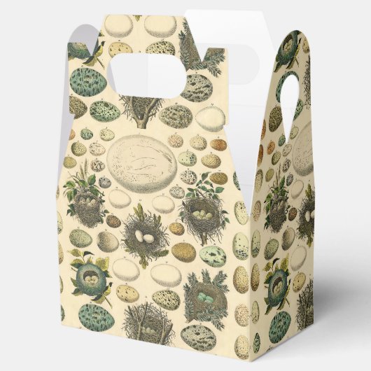 ヴィンテージ鳥の卵ネストアー絵画トの卵 フェイバーボックス (オープン)