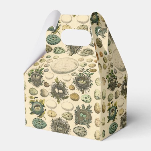 ヴィンテージ鳥の卵ネストアー絵画トの卵 フェイバーボックス (正面サイド)