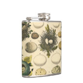 ヴィンテージ鳥の卵ネストアー絵画トの卵 フラスク (右)