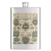 ヴィンテージ鳥の卵ネストアー絵画トの卵 フラスク (正面)