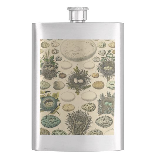 ヴィンテージ鳥の卵ネストアー絵画トの卵 フラスク (正面)