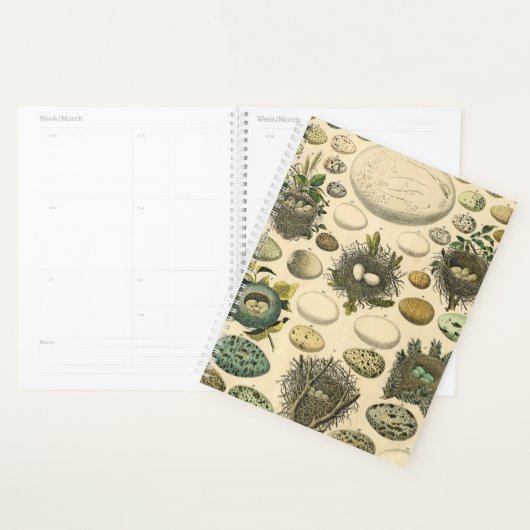 ヴィンテージ鳥の卵ネストアー絵画トの卵 プランナー手帳 (ディスプレー)