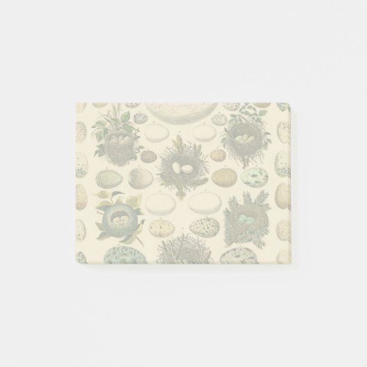 ヴィンテージ鳥の卵ネストアー絵画トの卵 ポストイット (正面)