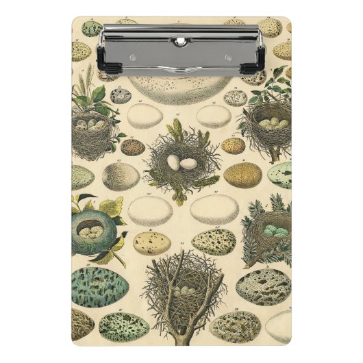 ヴィンテージ鳥の卵ネストアー絵画トの卵 ミニクリップボード (正面)