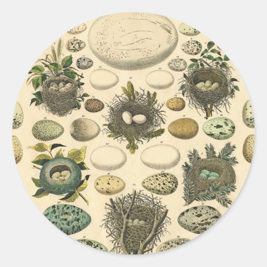 ヴィンテージ鳥の卵ネストアー絵画トの卵 ラウンドシール (正面)
