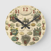 ヴィンテージ鳥の卵ネストアー絵画トの卵 ラウンド壁時計 (正面)