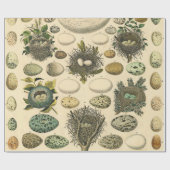 ヴィンテージ鳥の卵ネストアー絵画トの卵 ラッピングペーパー (フラット)