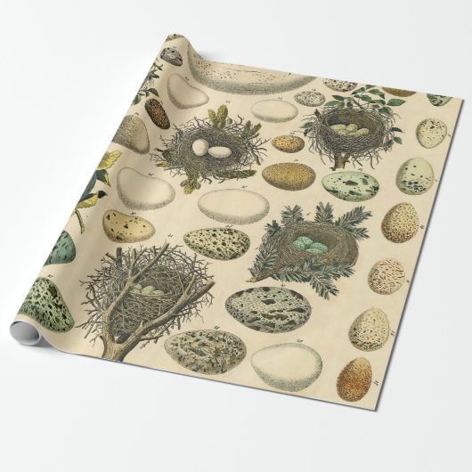 ヴィンテージ鳥の卵ネストアー絵画トの卵 ラッピングペーパー (アンロールド)