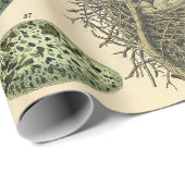 ヴィンテージ鳥の卵ネストアー絵画トの卵 ラッピングペーパー (ロールコーナー)