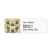 ヴィンテージ鳥の卵ネストアー絵画トの卵 ラベル (正面)