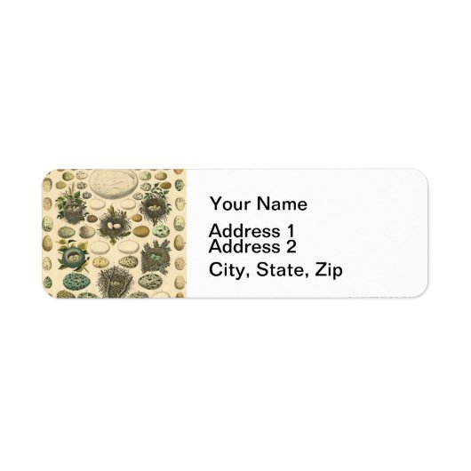 ヴィンテージ鳥の卵ネストアー絵画トの卵 ラベル (正面)