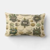 ヴィンテージ鳥の卵ネストアー絵画トの卵 ランバークッション (裏面)