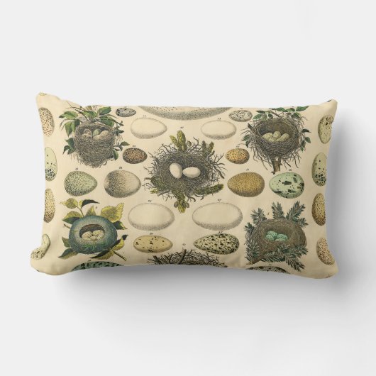 ヴィンテージ鳥の卵ネストアー絵画トの卵 ランバークッション (正面)