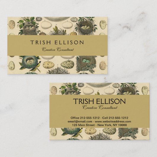 ヴィンテージ鳥の卵ネストアー絵画トの卵 名刺 (正面/裏面)