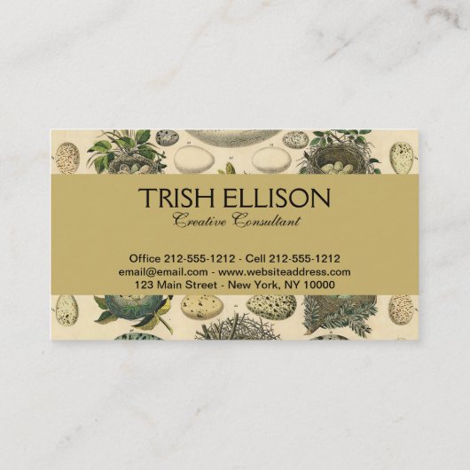 ヴィンテージ鳥の卵ネストアー絵画トの卵 名刺 (裏面)