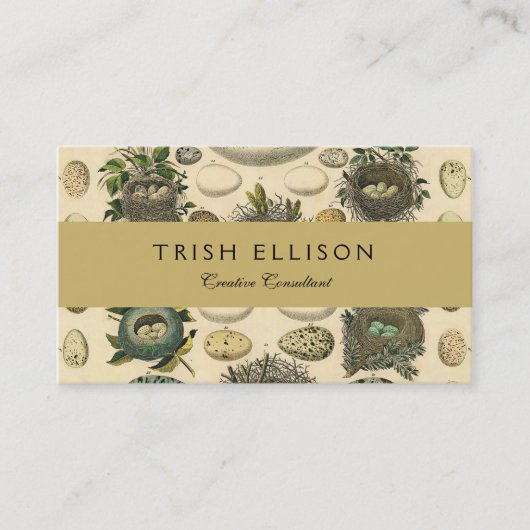 ヴィンテージ鳥の卵ネストアー絵画トの卵 名刺 (正面)