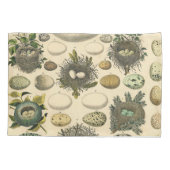 ヴィンテージ鳥の卵ネストアー絵画トの卵 枕カバー (裏面)