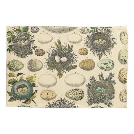 ヴィンテージ鳥の卵ネストアー絵画トの卵 枕カバー (裏面)