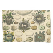 ヴィンテージ鳥の卵ネストアー絵画トの卵 枕カバー (正面)