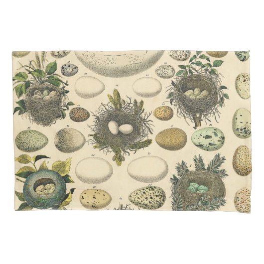 ヴィンテージ鳥の卵ネストアー絵画トの卵 枕カバー (正面)