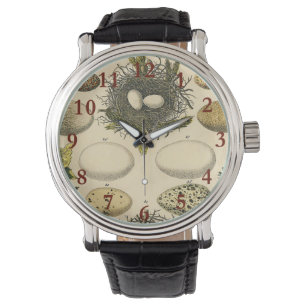 ヴィンテージ鳥の卵ネストアー絵画トの卵 腕時計