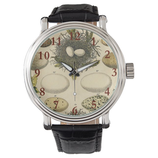 ヴィンテージ鳥の卵ネストアー絵画トの卵 腕時計 (正面)