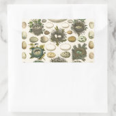 ヴィンテージ鳥の卵ネストアー絵画トの卵 長方形シール (バッグ)