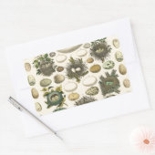 ヴィンテージ鳥の卵ネストアー絵画トの卵 長方形シール (封筒)