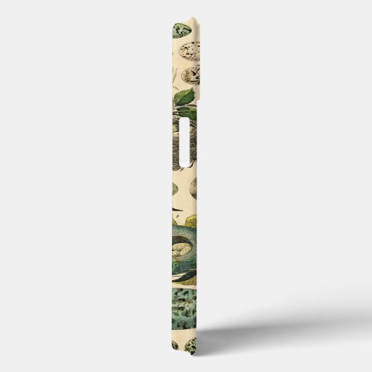 ヴィンテージ鳥の卵ネストアー絵画トの卵 Case-Mate iPhoneケース (裏面 / 右)