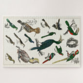 ヴィンテージ鳥の古いイラストレーション芸術動物 ジグソーパズル (横)