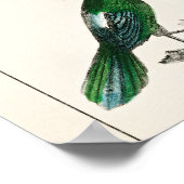 ヴィンテージ鳥の古いイラストレーション芸術動物 ポスター (角)