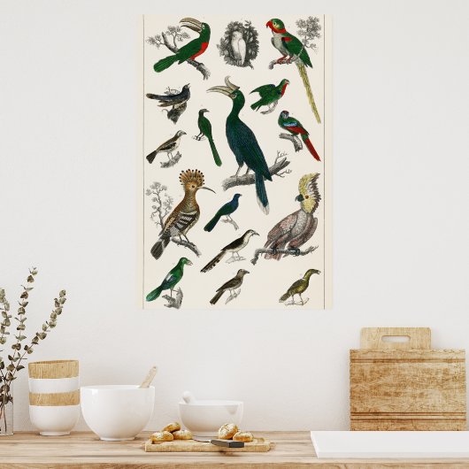 ヴィンテージ鳥の古いイラストレーション芸術動物 ポスター (キッチン)