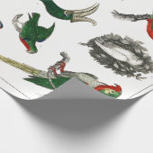 ヴィンテージ鳥の古いイラストレーション芸術動物 ラッピングペーパー (角)