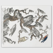 ヴィンテージ鳥の古いイラストレーション芸術動物 ラッピングペーパー (フラット)