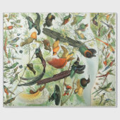 ヴィンテージ鳥の古いイラストレーション芸術動物 ラッピングペーパー (フラット)